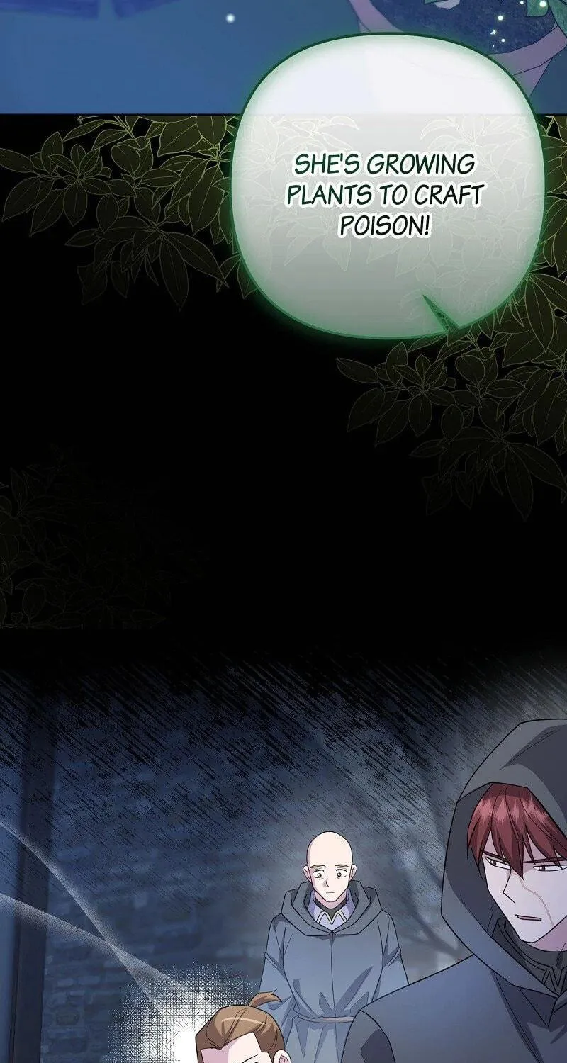 The Cursed Princess Must Rewind the Clock Chapter 27 page 17 - 