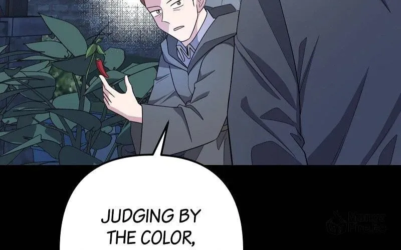 The Cursed Princess Must Rewind the Clock Chapter 27 page 18 - 