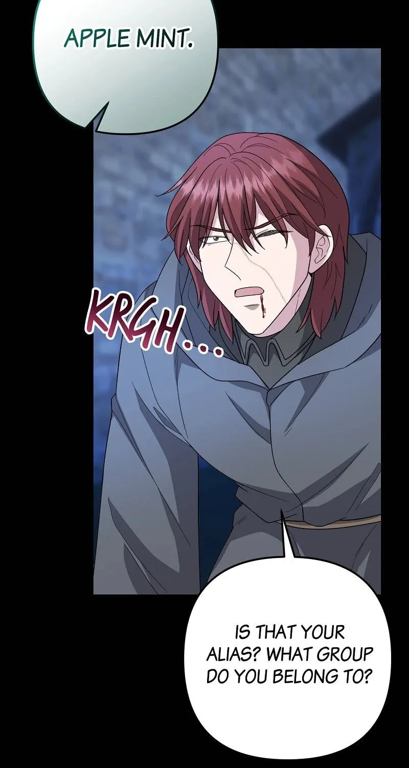 The Cursed Princess Must Rewind the Clock Chapter 27 page 37 - 