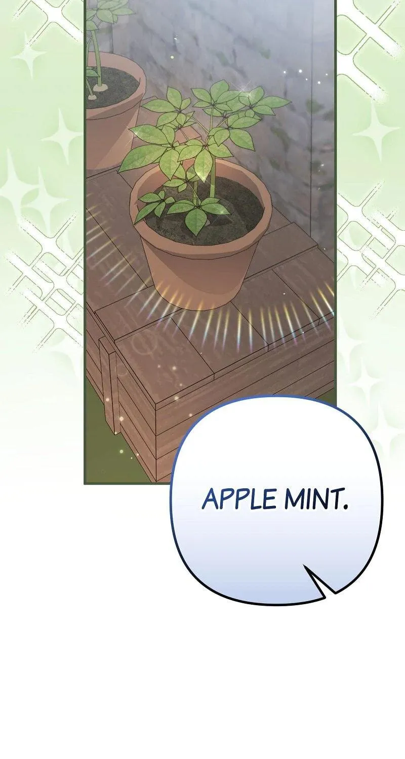 The Cursed Princess Must Rewind the Clock Chapter 27 page 65 - 