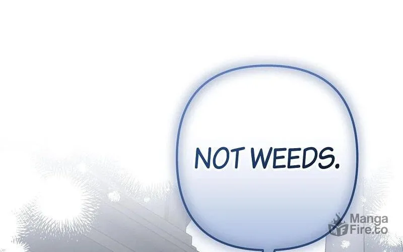The Cursed Princess Must Rewind the Clock Chapter 27 page 66 - 
