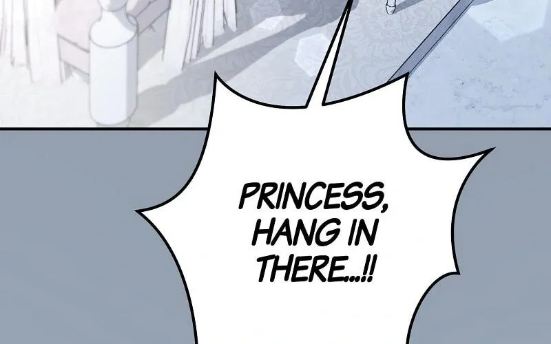 The Cursed Princess Must Rewind the Clock Chapter 30 page 104 - 
