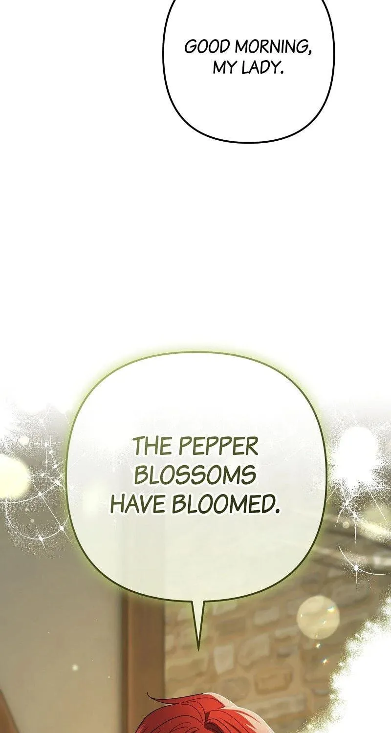 The Cursed Princess Must Rewind the Clock Chapter 35 page 77 - 