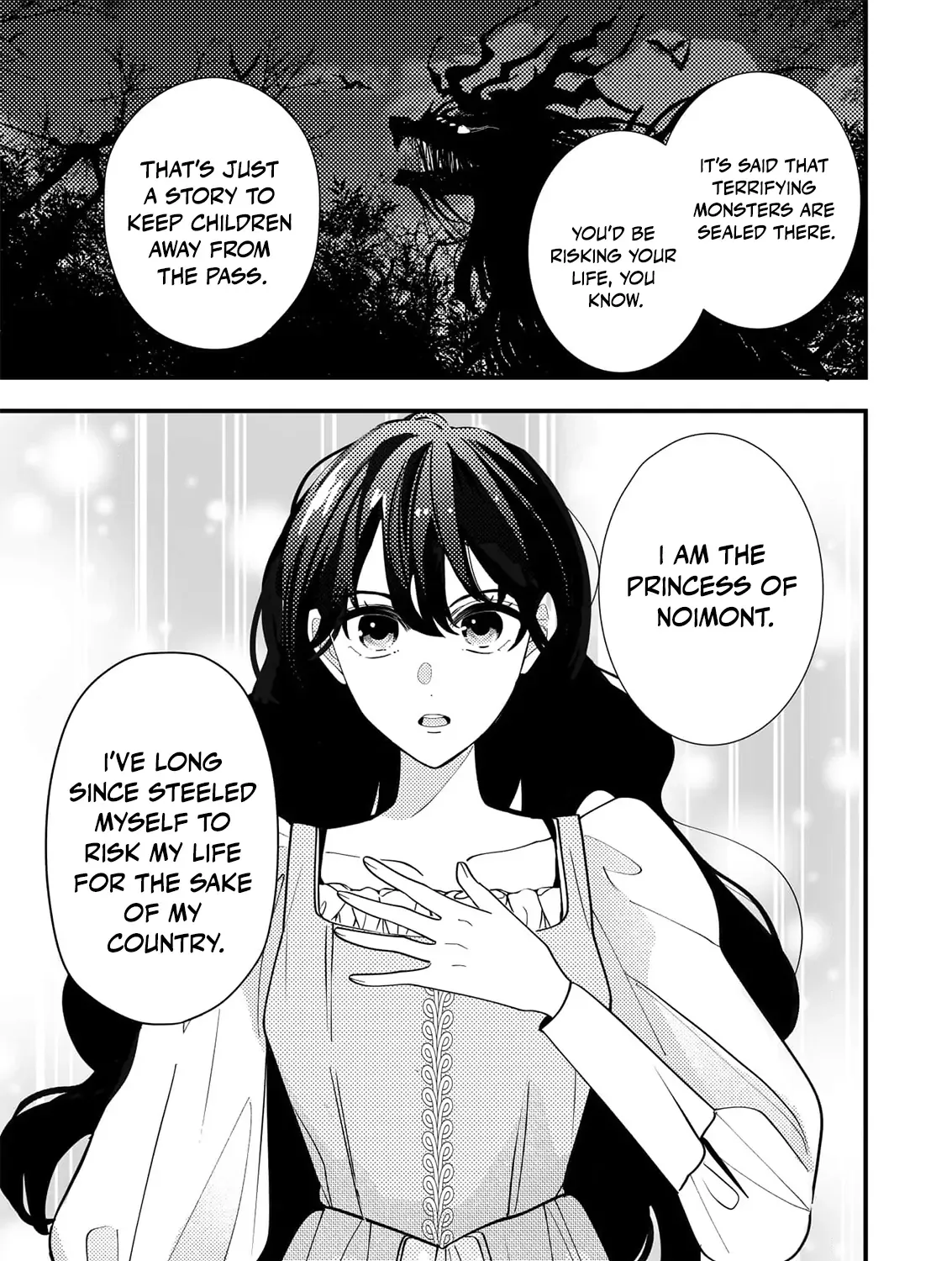 The Cursed Princess of the Night Kingdom Melts the Heart of the Reclusive Sun Prince Chapter 2 page 17 - 