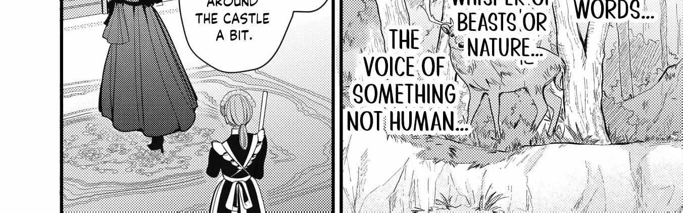 The Cursed Princess of the Night Kingdom Melts the Heart of the Reclusive Sun Prince Chapter 5 page 47 - 