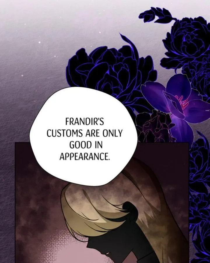 The Dame in Shining Armor Chapter 24.3 page 13 - 