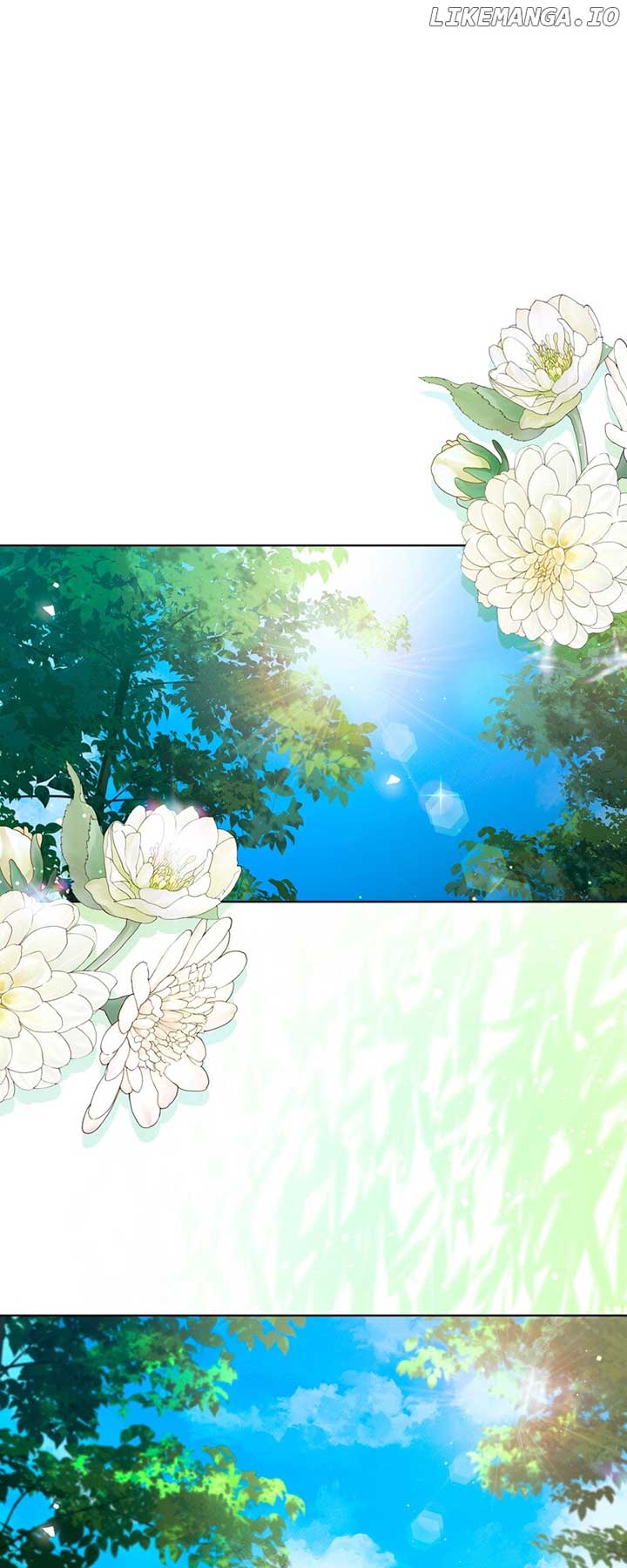 The Dame in Shining Armor Chapter 28 page 2 - 