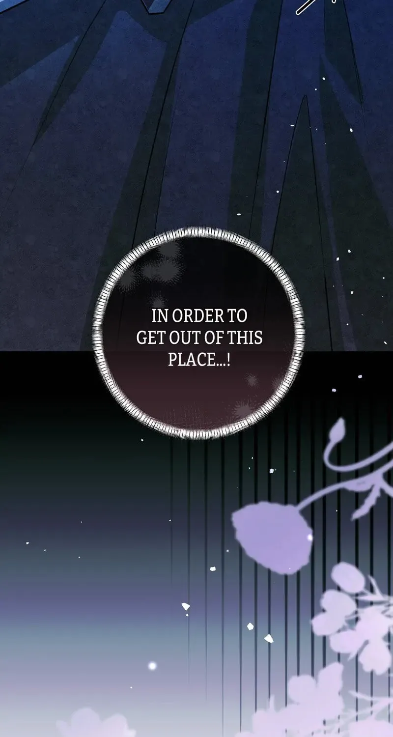 The Dame in Shining Armor Chapter 5 page 70 - 