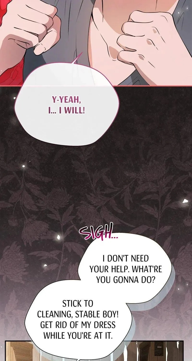 The Dame in Shining Armor Chapter 8 page 28 - 