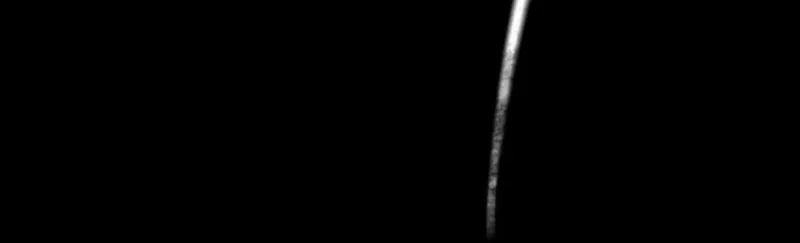 The Dark Lord