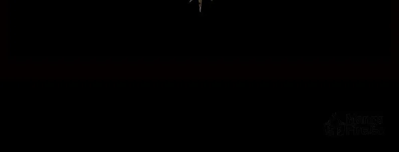 The Dark Lord