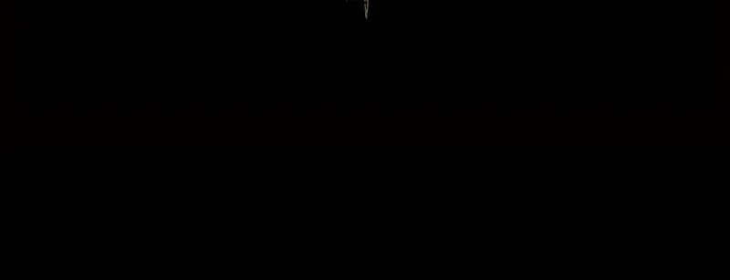 The Dark Lord