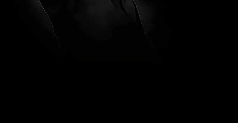 The Dark Lord