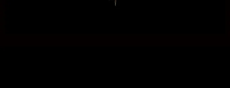 The Dark Lord