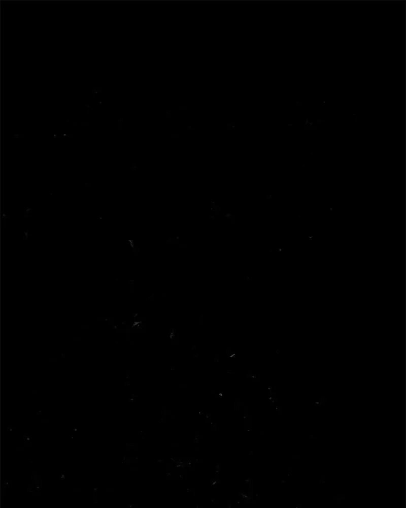 The Dark Lord