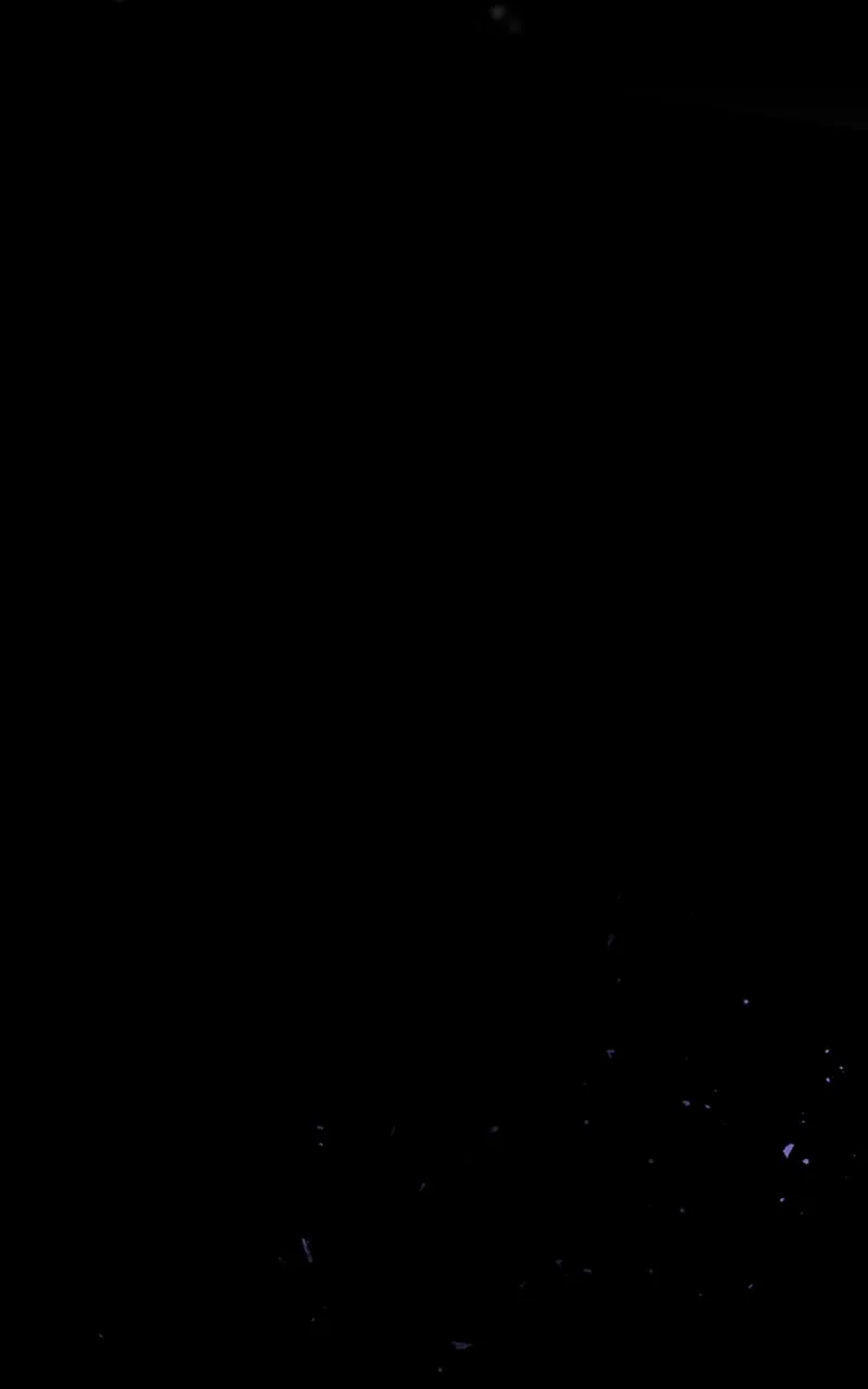 The Dark Lord
