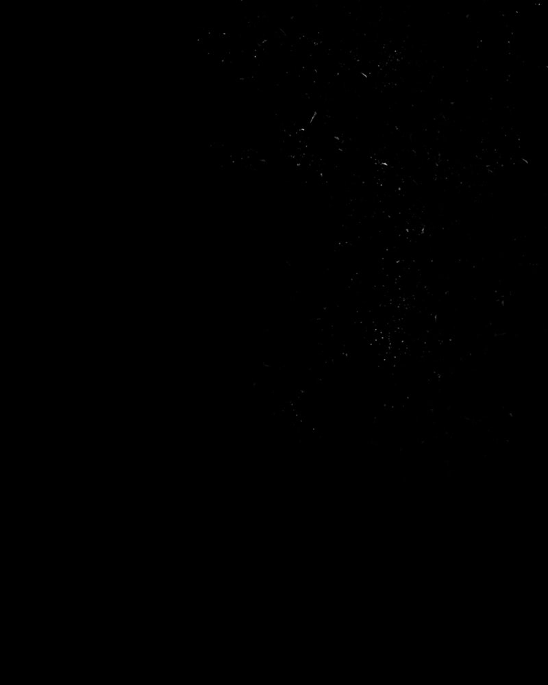 The Dark Lord