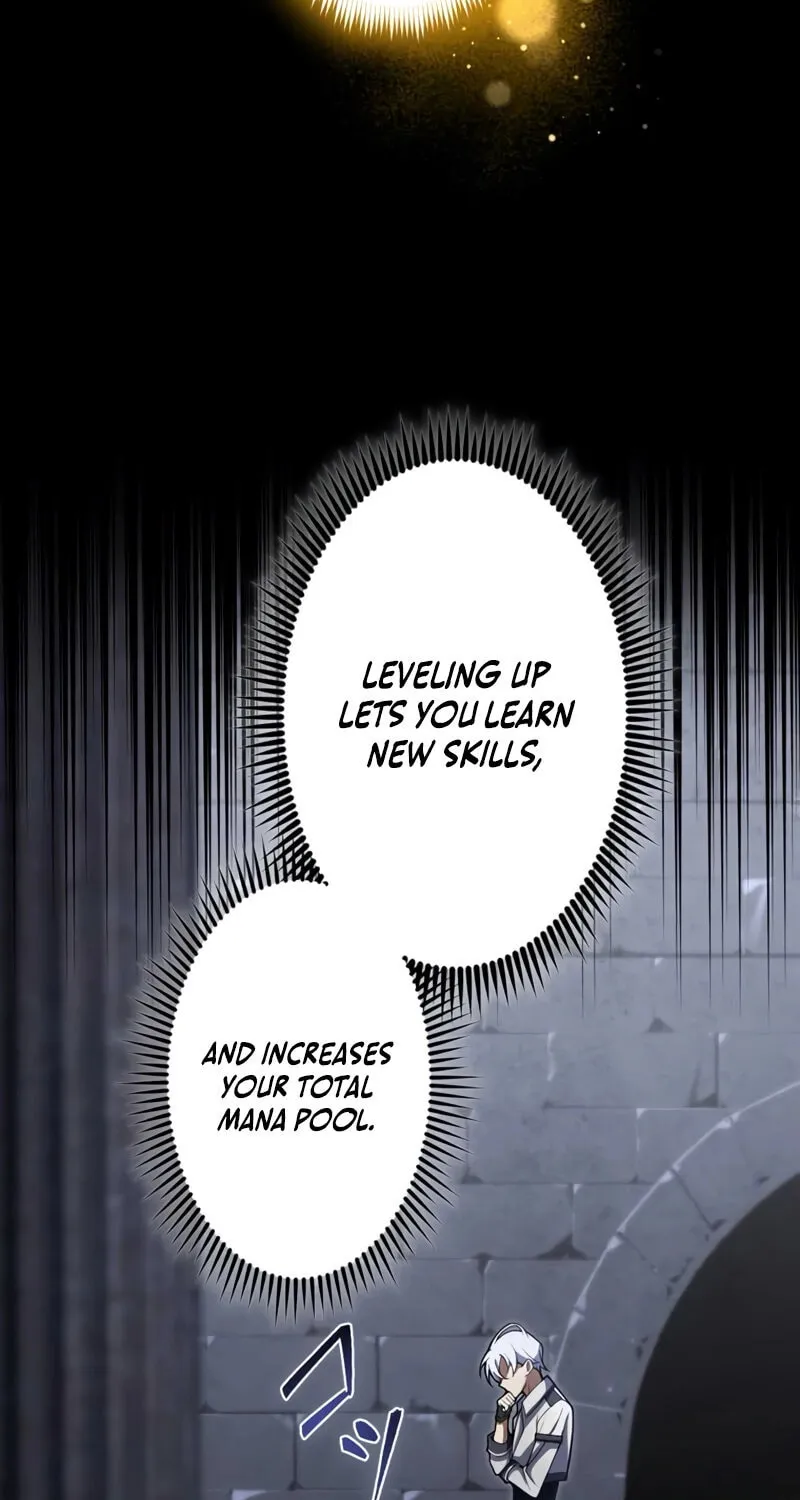 The Dark Mage ~ I am the Only Transcendant Mage who Regressed with Cheat Skills Chapter 4 page 27 - 