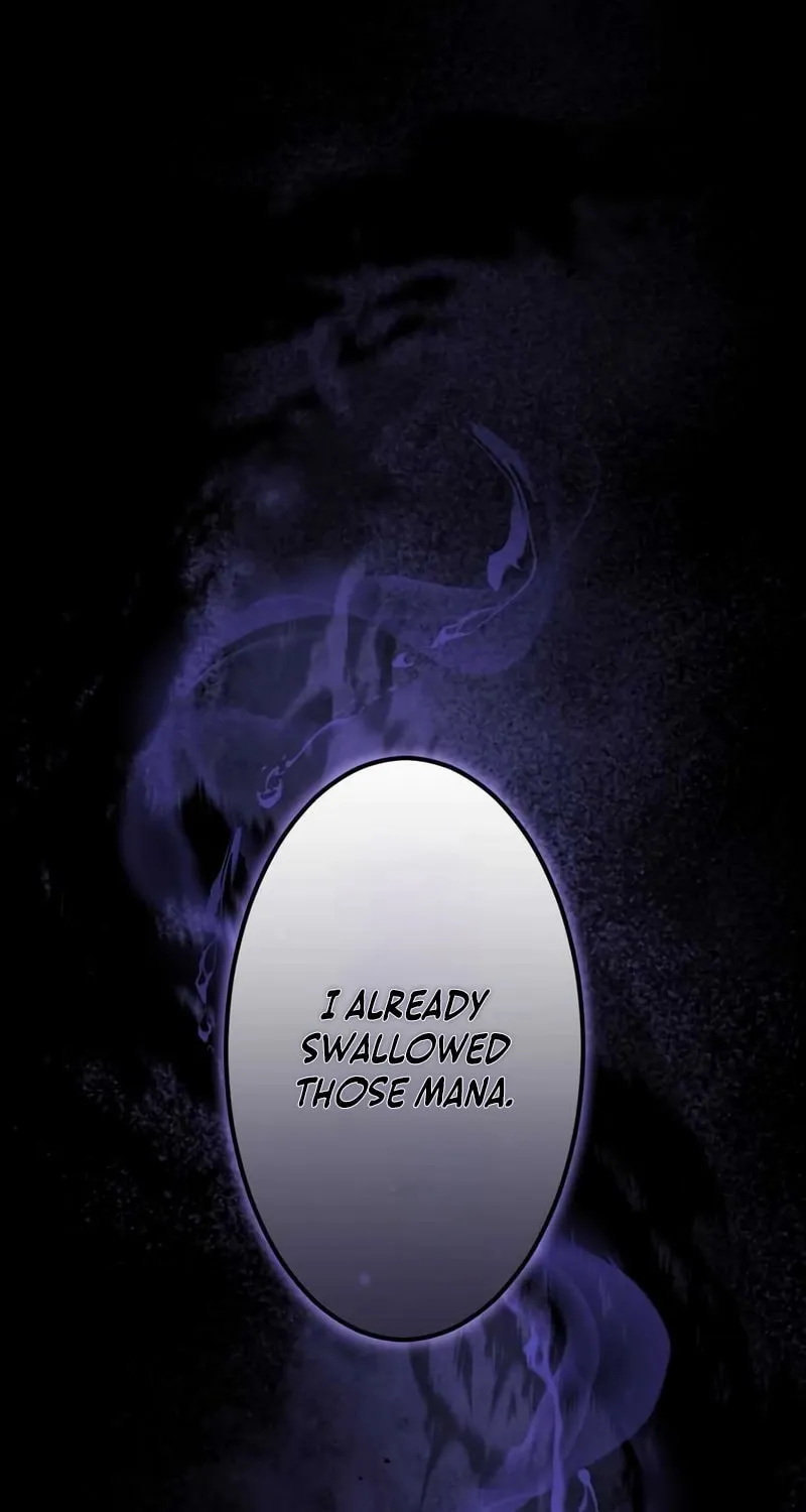 The Dark Mage ~ I am the Only Transcendant Mage who Regressed with Cheat Skills Chapter 7 page 103 - 