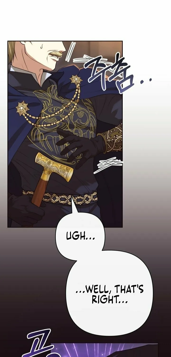 The Daughter of a Rogue Successor! Chapter 17 page 46 - 