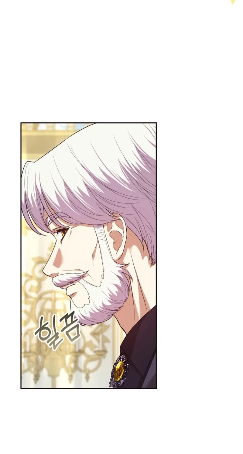 The Daughter of a Rogue Successor! Chapter 18 page 41 - 