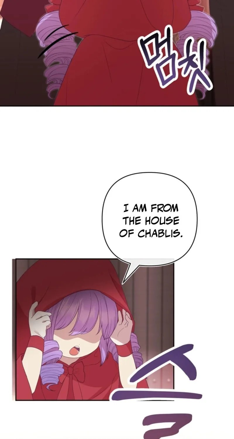 The Daughter of a Rogue Successor! Chapter 5 page 26 - 