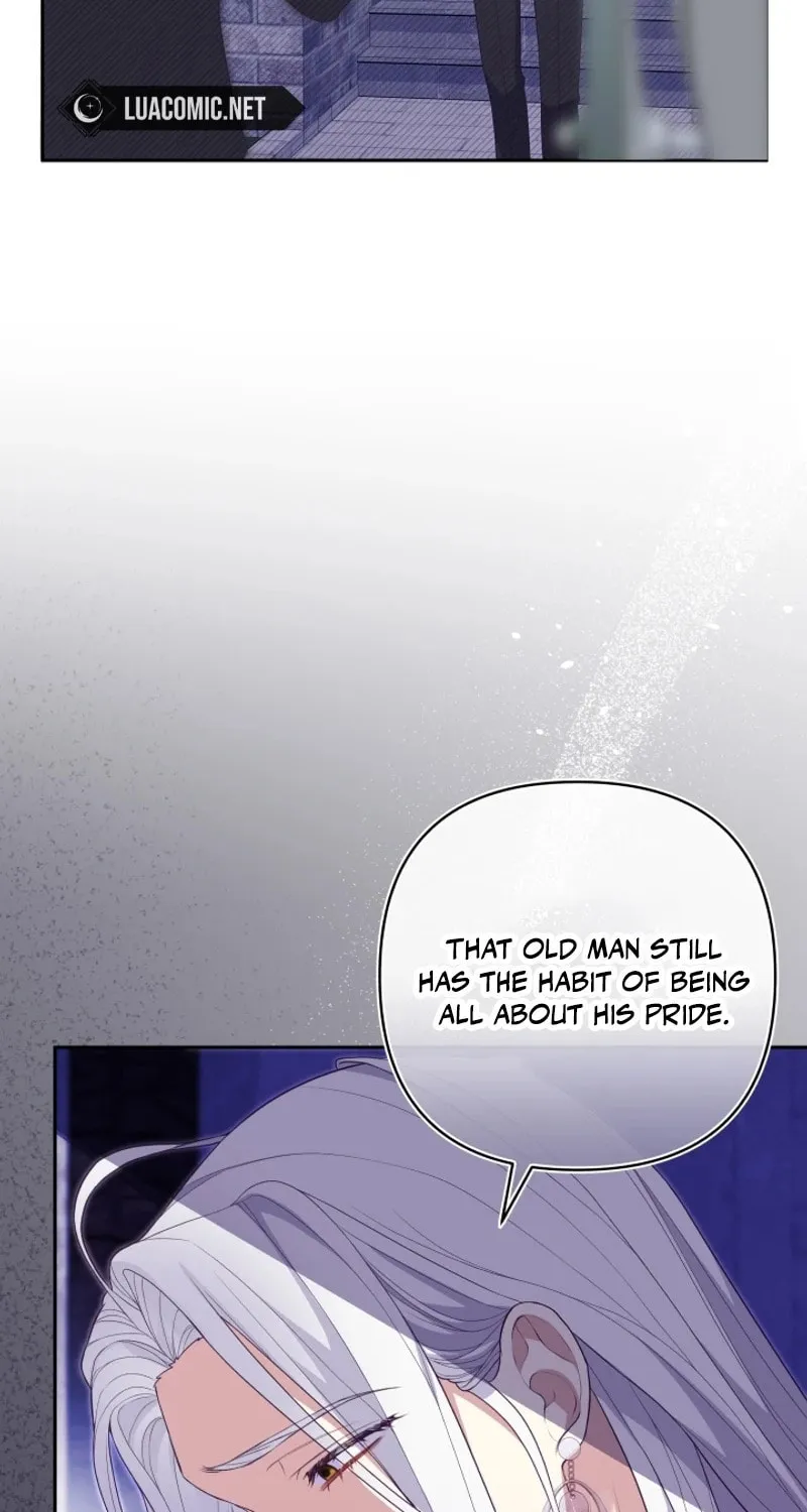 The Daughter of a Rogue Successor! Chapter 6 page 10 - 