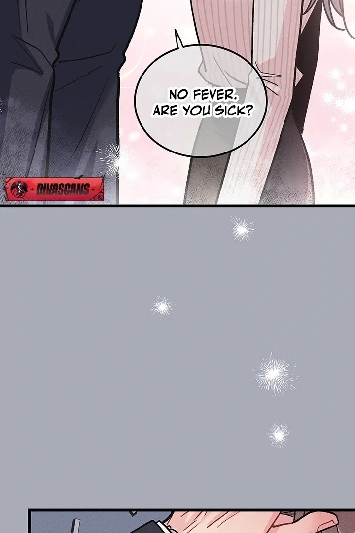 The Delicacies of a Man’s Romance Chapter 2 page 19 - 