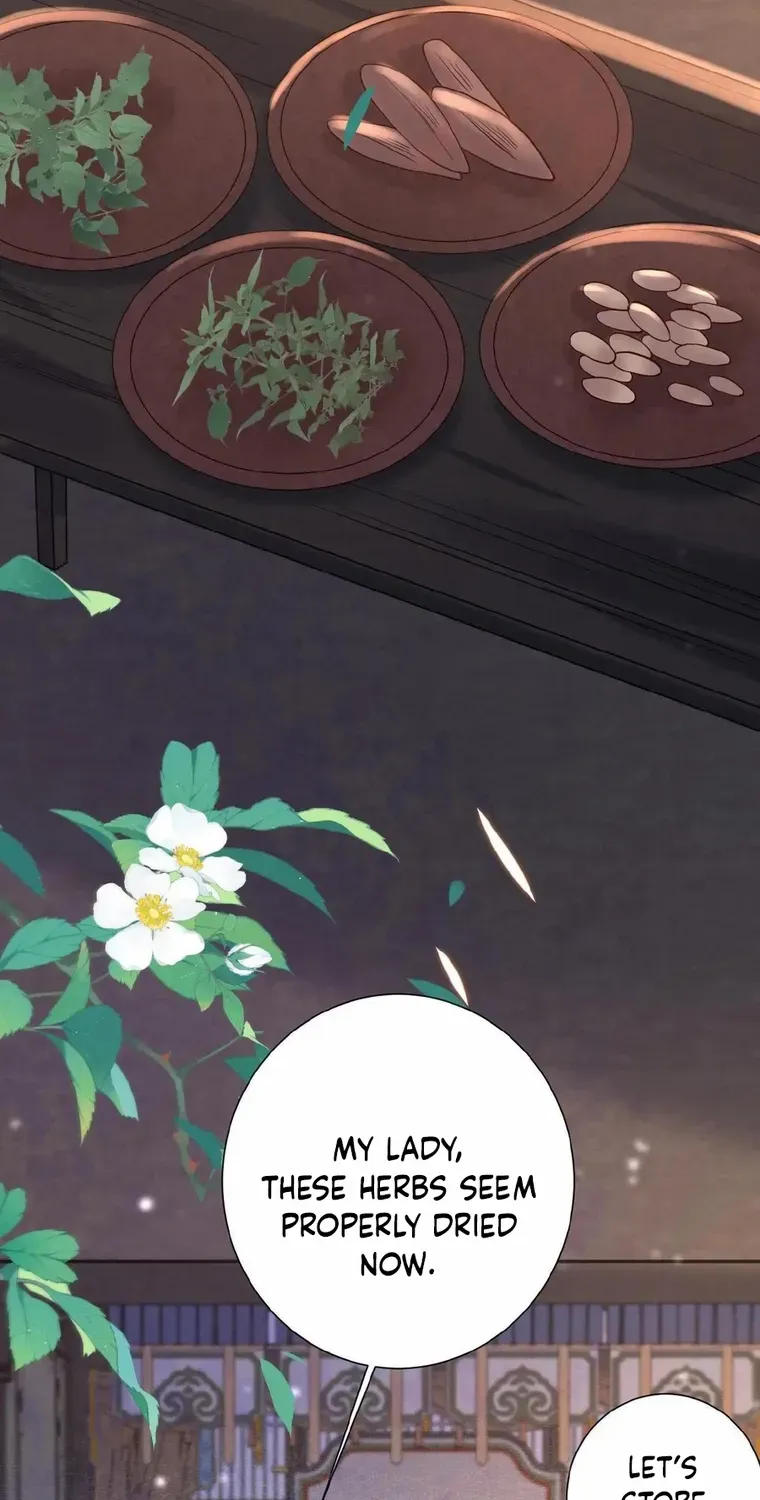 The Delicate and Noble Concubine Has Lots of Tricks, and the Emperor Does Not Flirt With Her Chapter 14 page 4 - 