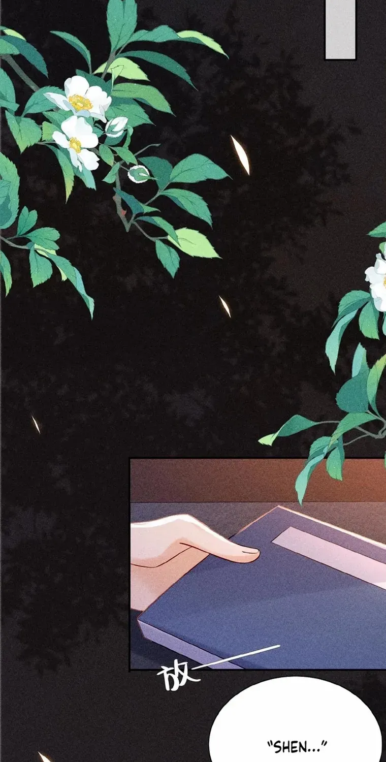 The Delicate and Noble Concubine Has Lots of Tricks, and the Emperor Does Not Flirt With Her Chapter 23 page 19 - 