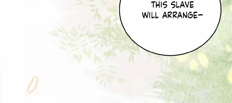 The Delicate and Noble Concubine Has Lots of Tricks, and the Emperor Does Not Flirt With Her Chapter 29 page 11 - 