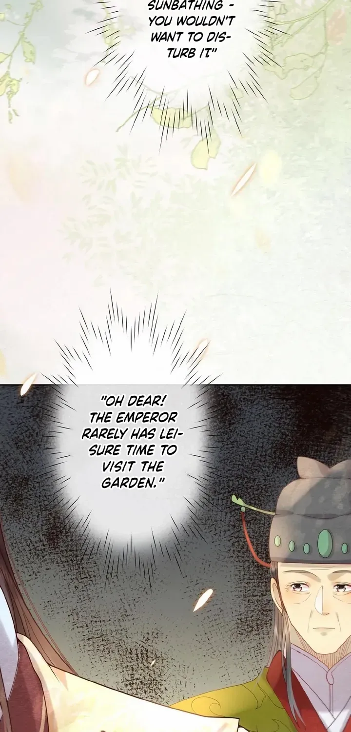 The Delicate and Noble Concubine Has Lots of Tricks, and the Emperor Does Not Flirt With Her Chapter 3 page 16 - 
