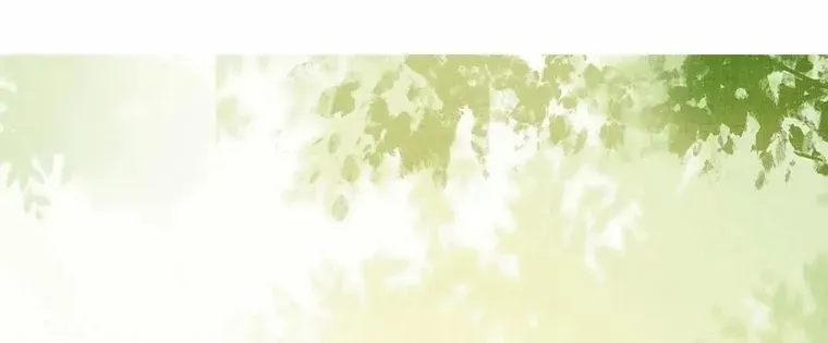 The Delicate and Noble Concubine Has Lots of Tricks, and the Emperor Does Not Flirt With Her Chapter 40 page 11 - 