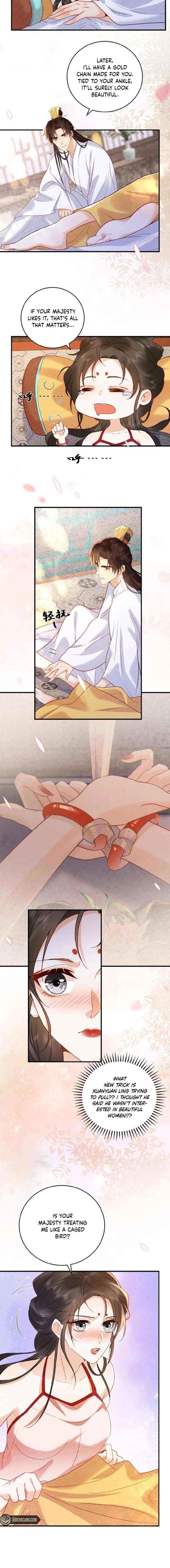 The Delicate and Noble Concubine Has Lots of Tricks, and the Emperor Does Not Flirt With Her Chapter 61 page 2 - 