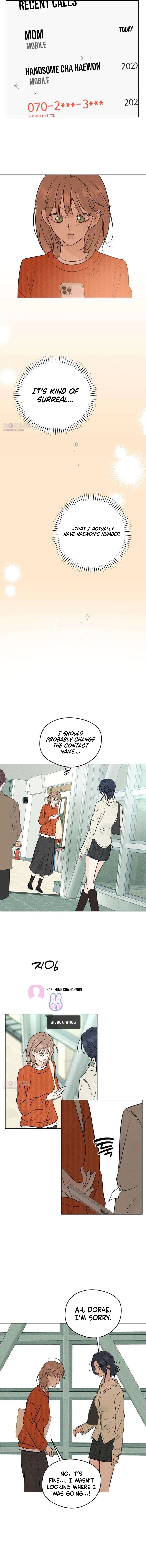 The Delinquent