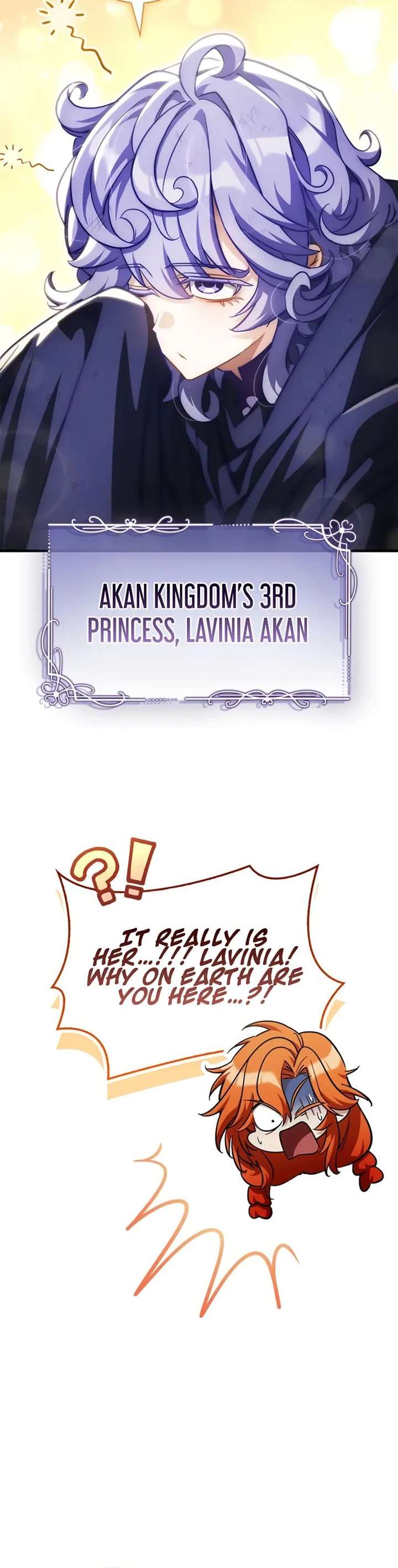 The Demon King Overrun by Heroes Chapter 24 page 12 - 