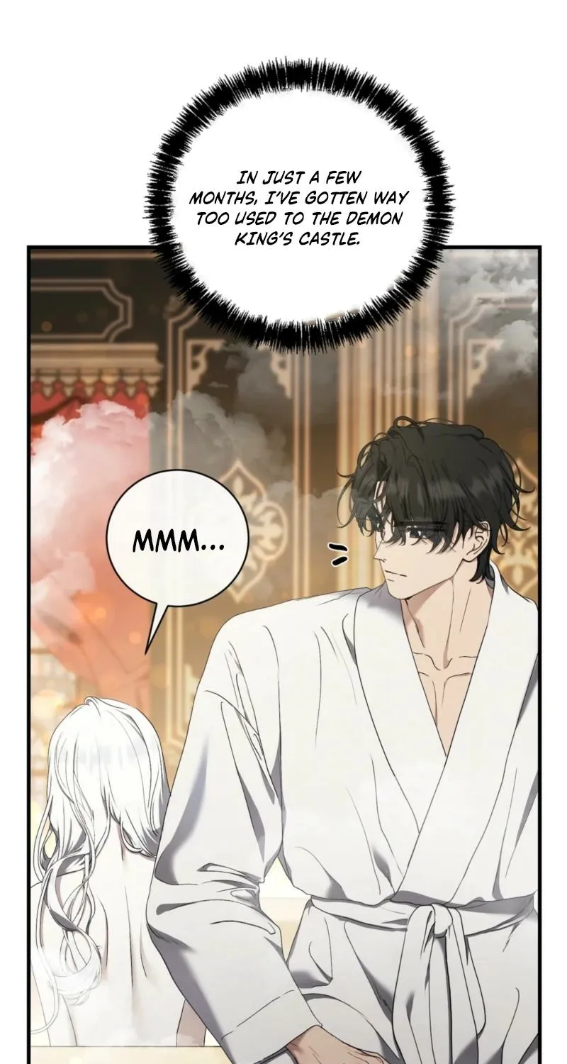 The Demon King Wants to Live in Peace Chapter 15 page 12 - 