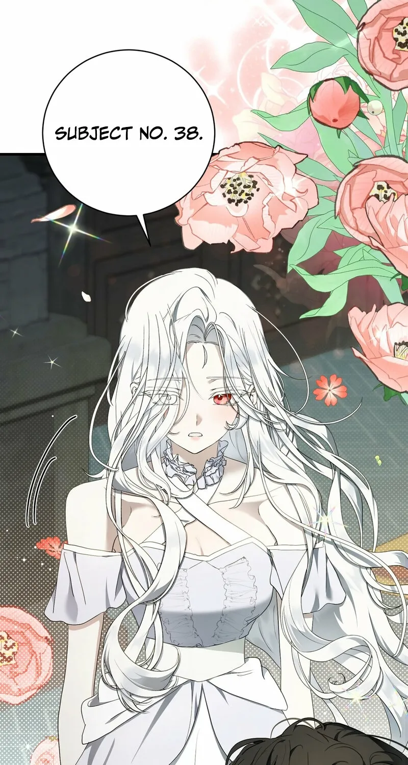The Demon King Wants to Live in Peace Chapter 16 page 12 - 