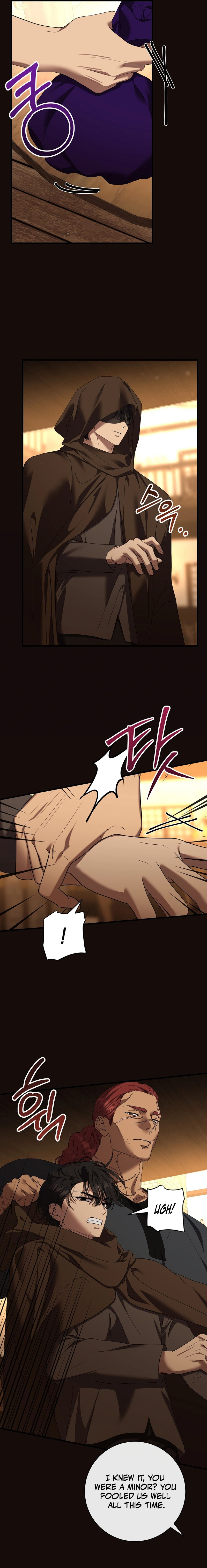 The Demon King Wants to Live in Peace Chapter 27 page 17 - 