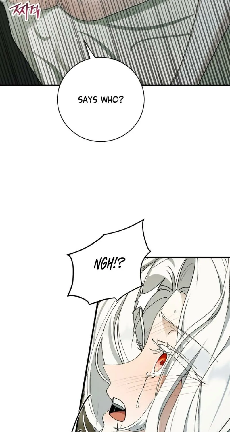 The Demon King Wants to Live in Peace Chapter 5 page 41 - 