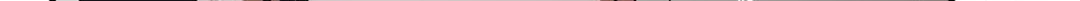 The Demon Leader
