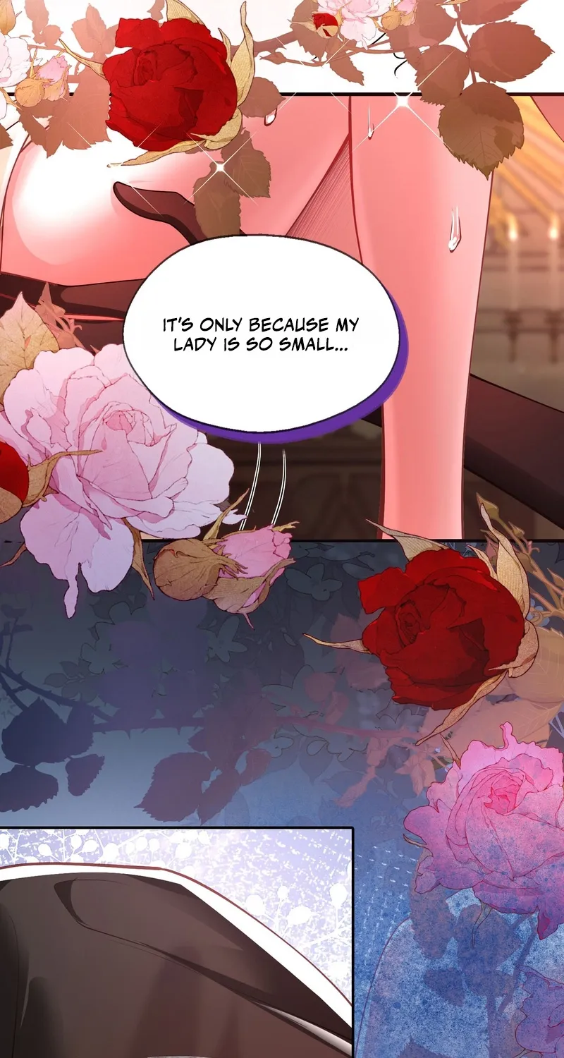 The Demon Maid Only Wants to Be Bullied by the Villainess Noble Lady Chapter 20 page 33 - 