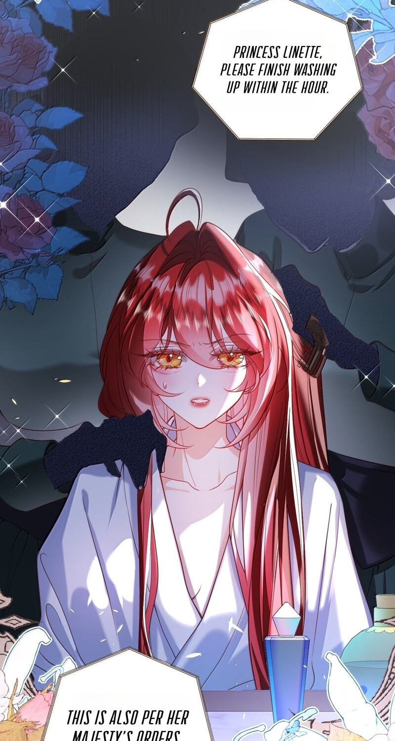 The Demon Maid Only Wants to Be Bullied by the Villainess Noble Lady Chapter 40 page 4 - 