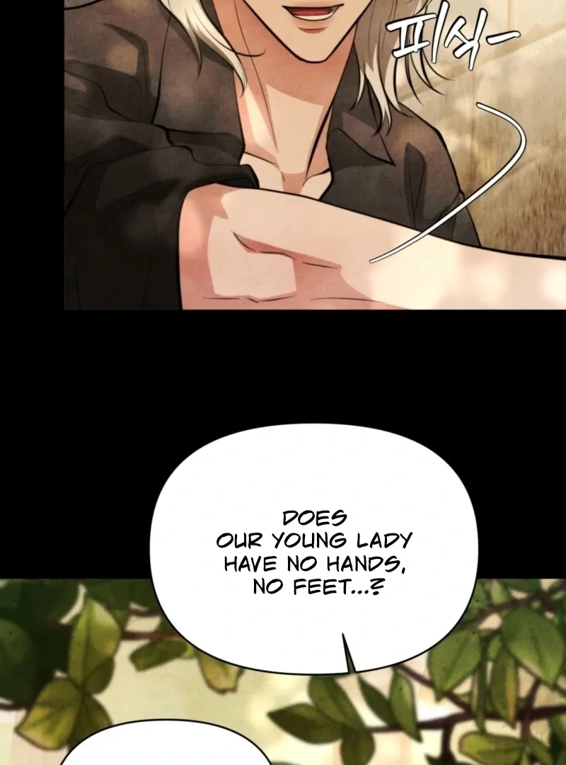 The Demon of Lust has Possessed the Young Lady Chapter 3 page 96 - 