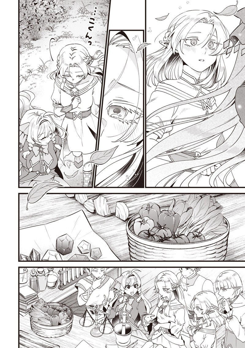 The Demoted Third Princess Begins the Frontier Reform!! Chapter 15 page 12 - 