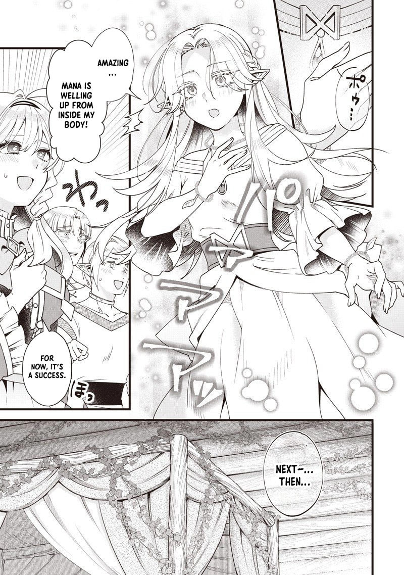 The Demoted Third Princess Begins the Frontier Reform!! Chapter 15 page 15 - 