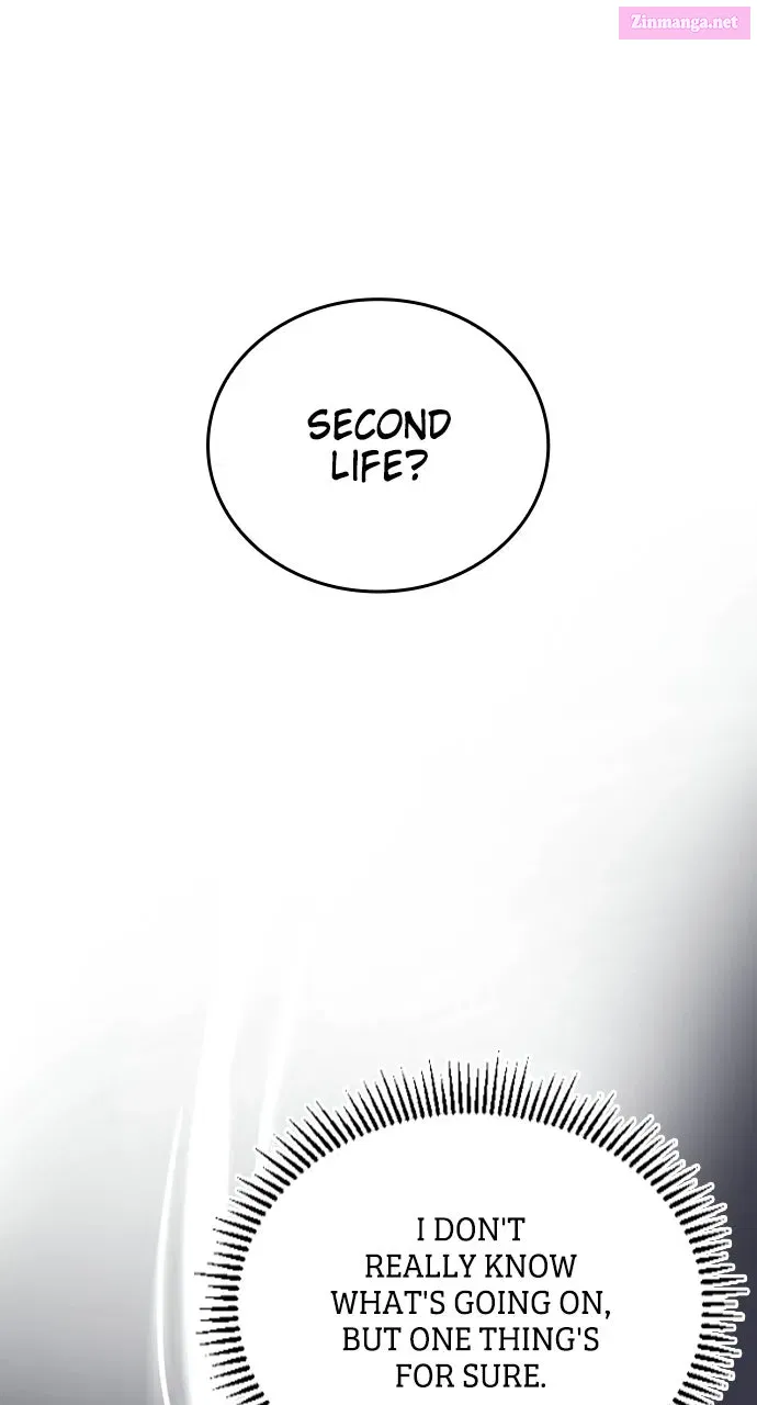 The DespisedDark Mage Lives Again Chapter 2 page 22 - 