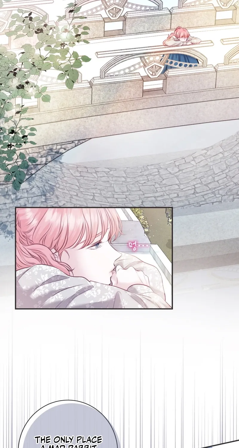 The Destiny of the Eternally Second Male Lead is Now in my Hands Chapter 11 page 3 - 