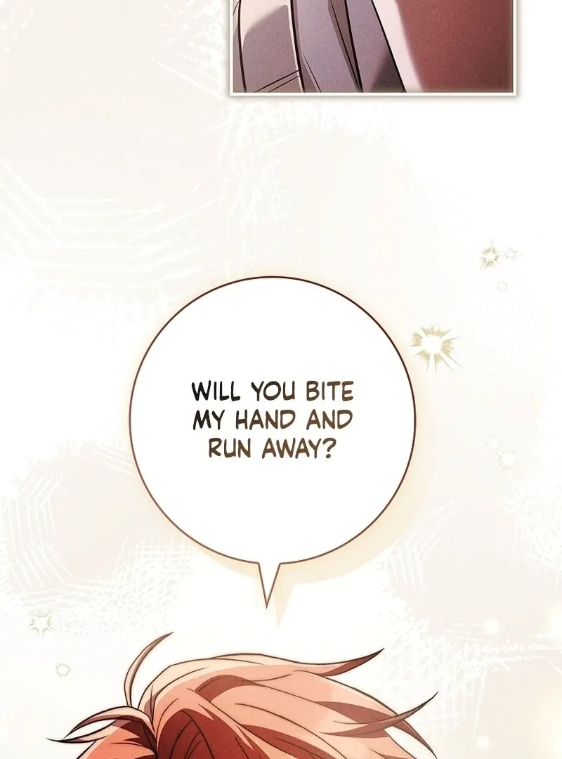 The Detective Agency For Regretful Male Leads Is Now Open For Business! Chapter 30 page 63 - 
