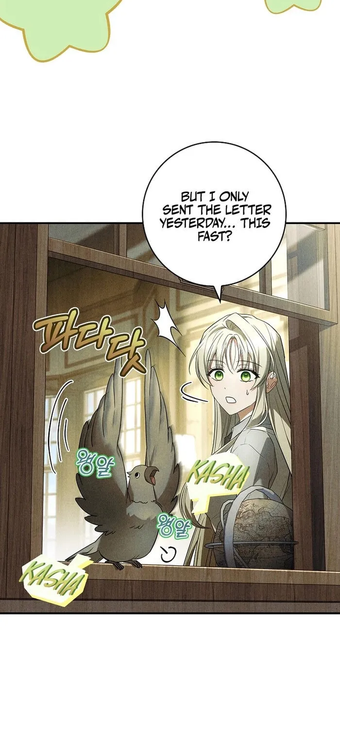 The Detective Agency for Regretful Male Leads Is Open for Business! Chapter 25 page 11 - 